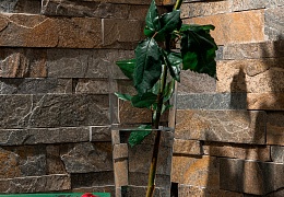 3D панели RKS SLATE Кварцит Zeera Green Natural