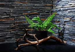 3D панели RKS SLATE Сланец Cape Skagen Country