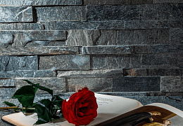 3D панели RKS SLATE Кварцит Silver Shine Natural