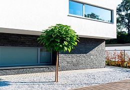 3D панели RKS SLATE Сланец Black Slate Classic